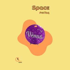 PetTag - Space